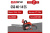 Бензиновая цепная пила EVOline CSG40-14ES