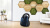 Пылесос Bosch BGBS2BU1T