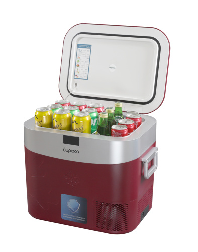 Холодильник Бирюса НС-22P3