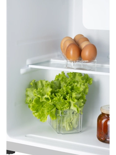 Холодильник NORD NS 50 S