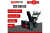 Бензиновый снегоуборщик EVOline SBG690BE