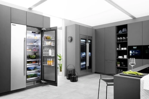 Встраиваемый холодильник Signature Kitchen Suite SKSCR3011P