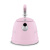 Чайник Smeg WKF01SS