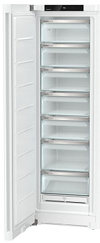 Морозильник отдельностоящий Liebherr SFNe 5227-20 001