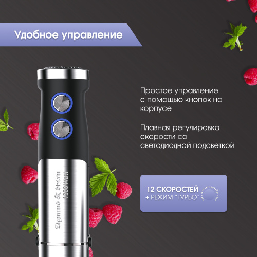 Блендер Zigmund & Shtain BH-350 M
