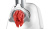 Мясорубка электрическая Bosch SmartPower MFW2515W Мясорубка электрическая Bosch SmartPower MFW2515W