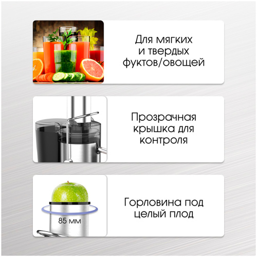 Соковыжималка центробежная Zigmund & Shtain EJ-756