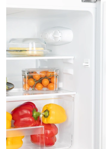 Холодильник NORD NT 90 W