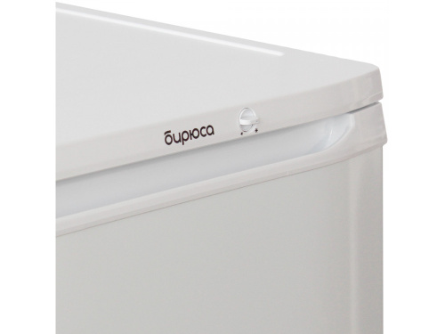 Холодильник Бирюса 111