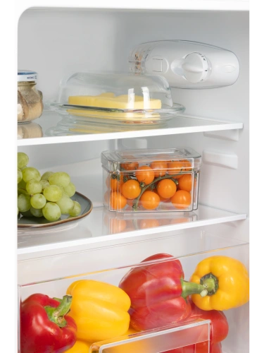 Холодильник NORD NT 90 W