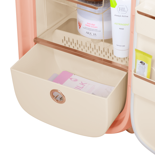 Мини-холодильник для косметики Maunfeld MFF43PK