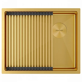 Мойка Paulmark NEXT-PRO 54 UNI, PM705445-BG, брашированное золото