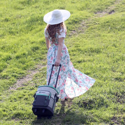 Термосумка Libhof Holiday TW-21H