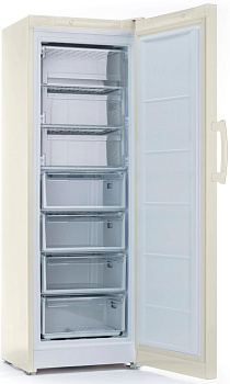 Морозильная камера Indesit DSZ 4150 E