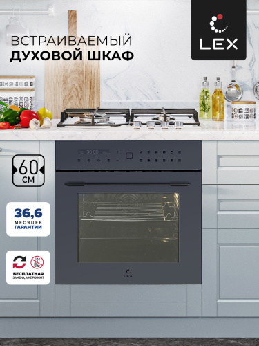 Духовой шкаф Lex EDS 101 GR