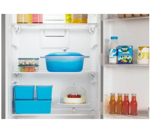 Холодильник Indesit ITS 4200 NG