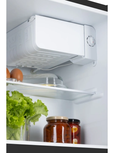 Холодильник NORD NS 50 B