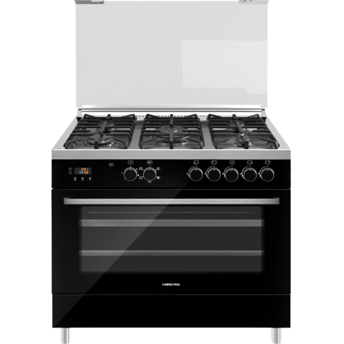 Плита HIBERG FEG 950-25 MW