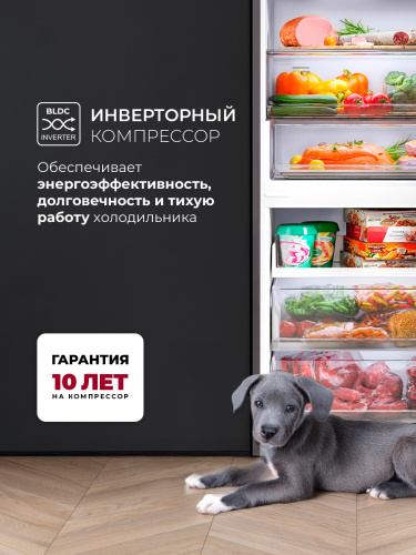 Холодильник Lex LKB201GrGIDMax