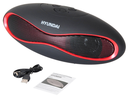 Колонка портативная Hyundai H-PAC100