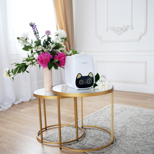 Холодильник термоэлек Libhof CT-6