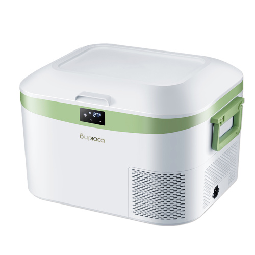 Холодильник Бирюса НС-12P1