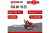 Бензиновая цепная пила EVOline CSG46-16ES