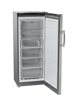 Морозильная камера Indesit DFZ 4150.1 G