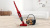 Пылесос Bosch BBHF214R Пылесос Bosch BBHF214R