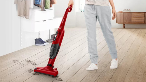 Пылесос Bosch BBHF214R