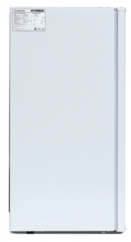 Холодильник Hyundai CO10031H