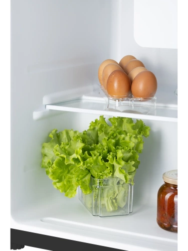 Холодильник NORD NS 50 B