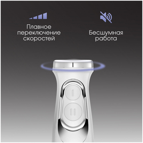 Погружной блендер Zigmund & Shtain BH-244 M