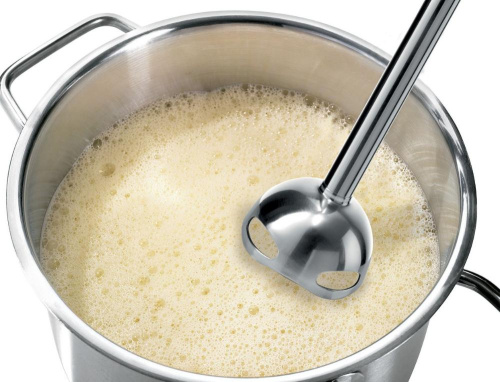 Блендер погружной Bosch MSM66150