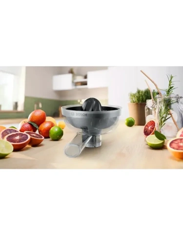 Мясорубка электрическая Bosch MFWS450B